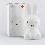 Miffy Lamp