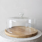 Large Covered Cheese/Cake Dome