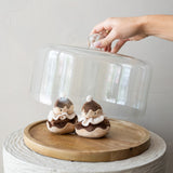 Large Covered Cheese/Cake Dome