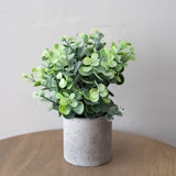 Wide Flocked Leaf Plant Pot