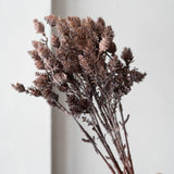 Wild Grass Bundle