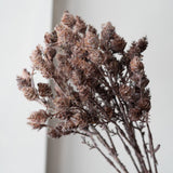 Wild Grass Bundle