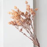 Wild Grass Bundle