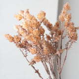 Wild Grass Bundle