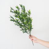 Long Leafy Stem