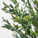 Long Leafy Stem