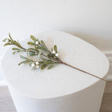 Medium Mistletoe Branch