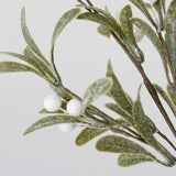 Medium Mistletoe Branch