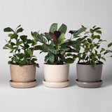 Upcycled Plant Pot