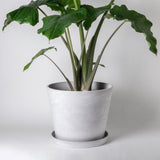 Tapered Planter Pot