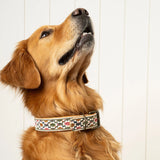 Riley Embroidered Dog Collar