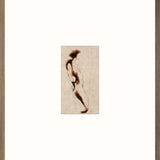 Blind Contour Study Framed Art