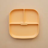 Silicone Plate
