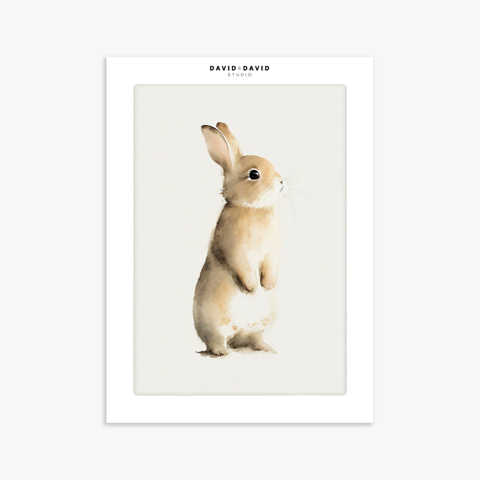 Baby Rabbit Art Print