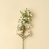Delphinium Floral Stem