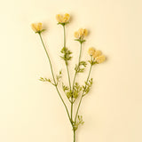 Dandelion Pom Pom Spray