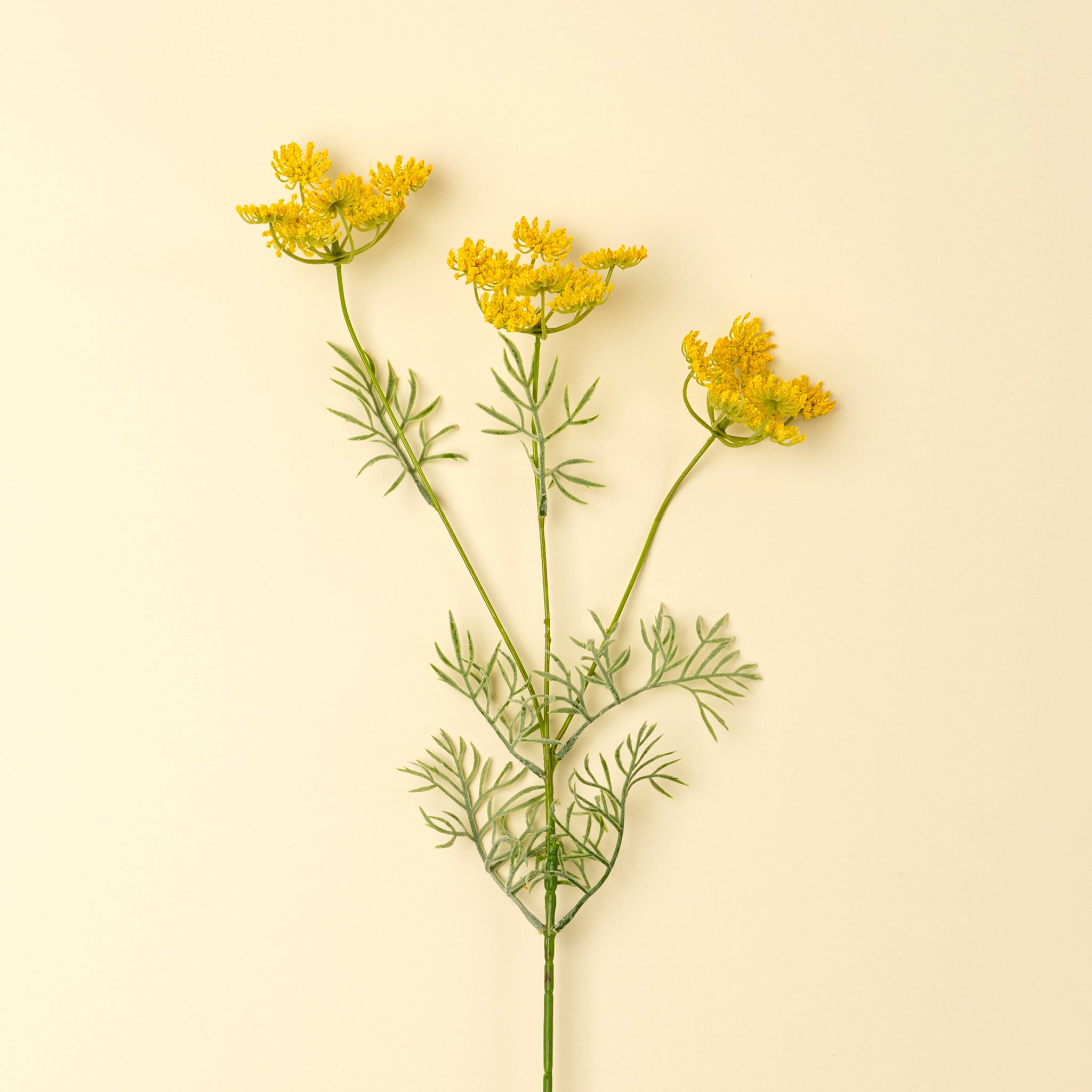 Queen Anne's Lace Spray