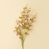 Wild Orchid Spray