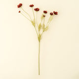 Rust Red Calliopsis Spray