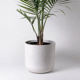 12” Stone Planter Pot