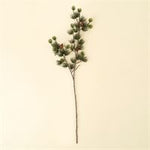 Alpine Larch Sprig