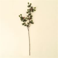 Alpine Larch Sprig