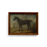 Horse Framed Canvas