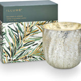 Balsam & Cedar Crackle Glass