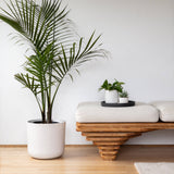 12” Stone Planter Pot