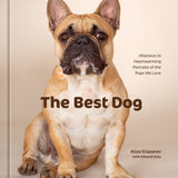The Best Dog