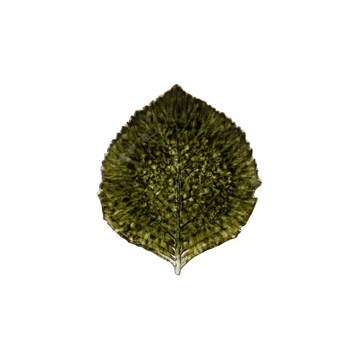 Riviera Forets Hydrangea leaf