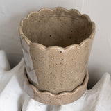 Scalloped Ceramic Planter