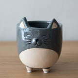 Cat on Legs Planter