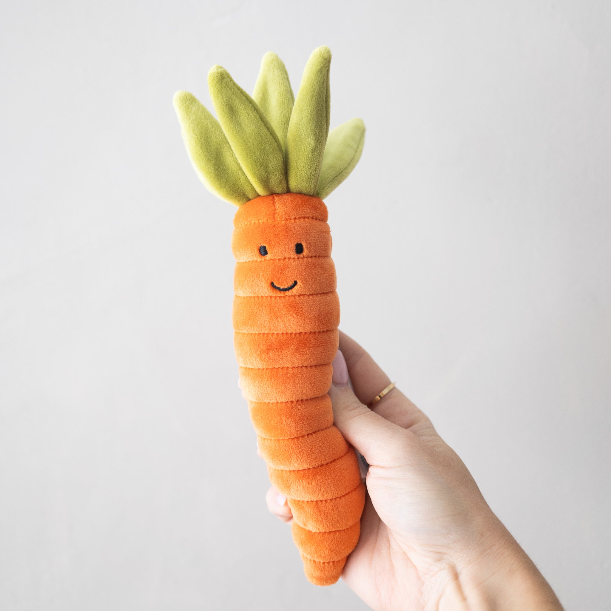 Vivacious Vegetable Carrot