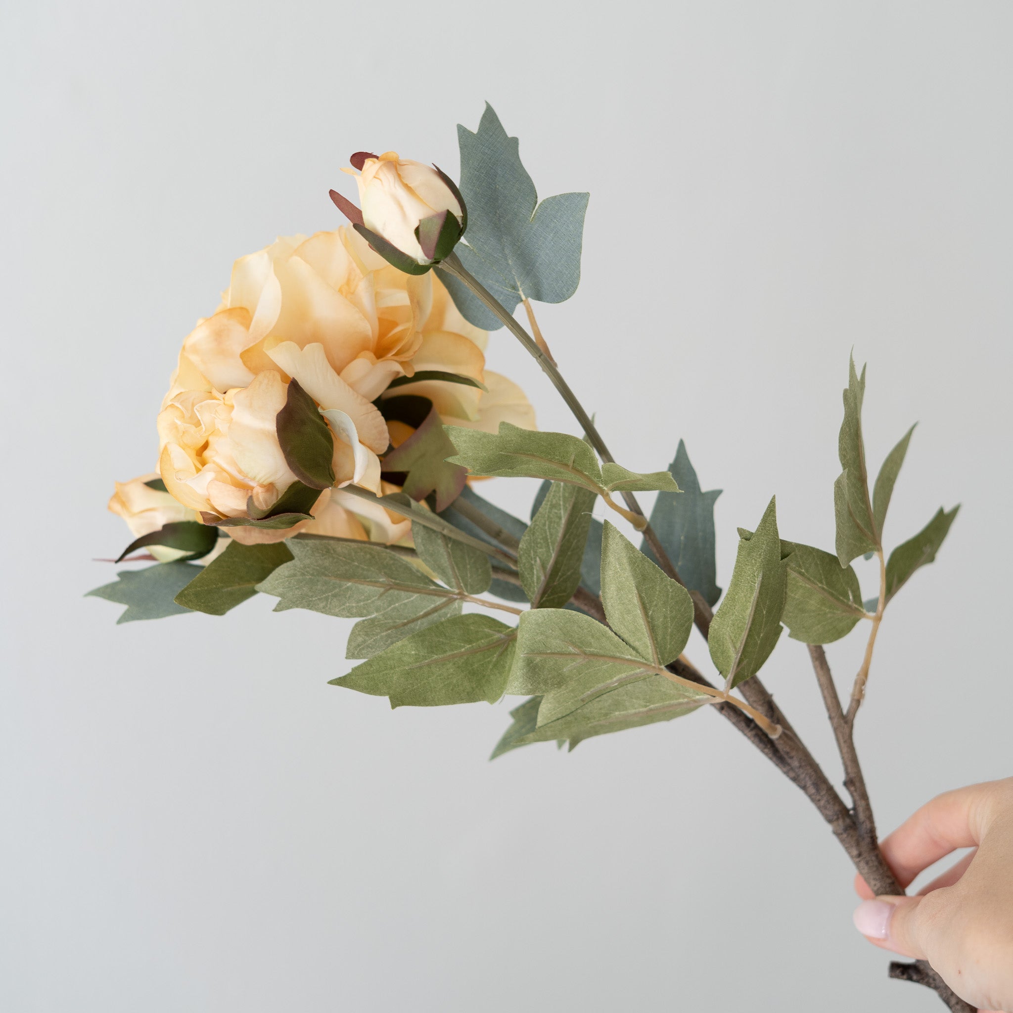 Peony Floral Stem