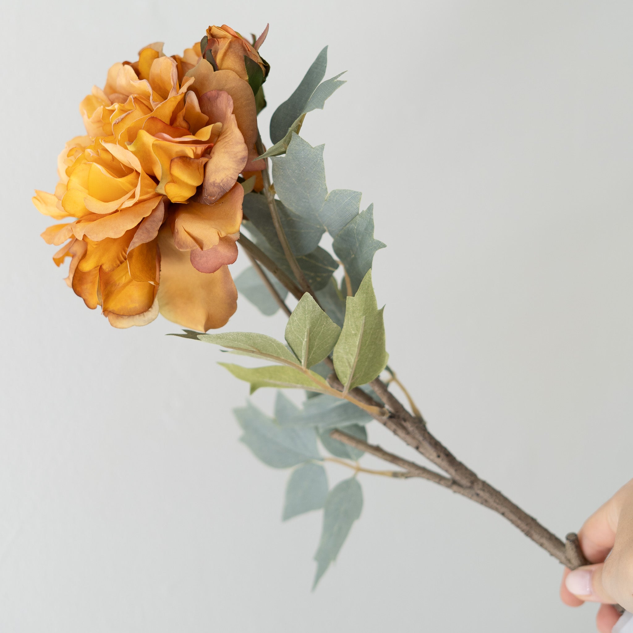 Peony Floral Stem