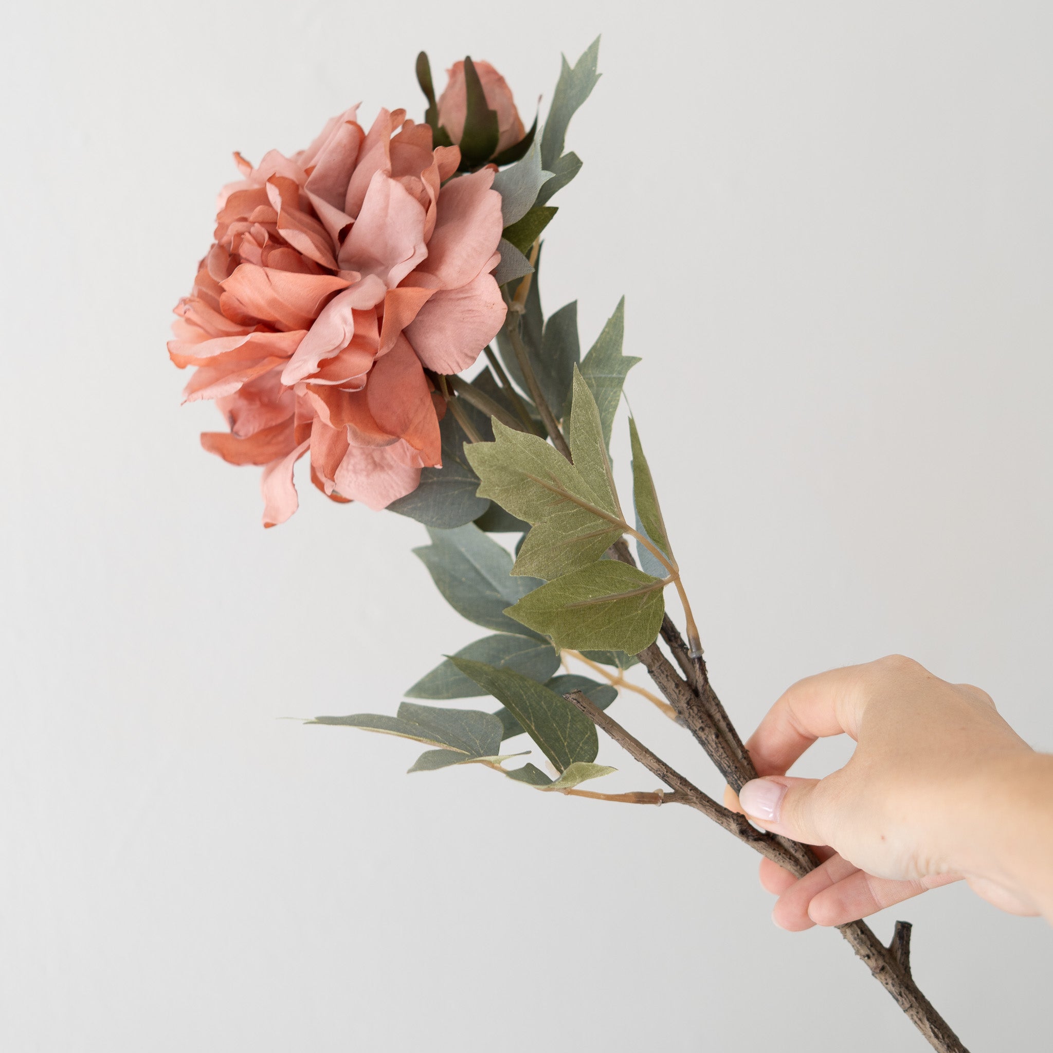 Peony Floral Stem