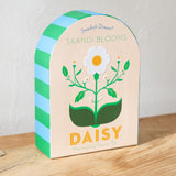 Skandi Blooms Daisy Bar Soap