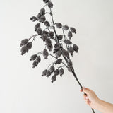 Forever Dried Berry Branch