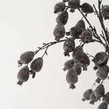Forever Dried Berry Branch