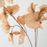 Forever Sweet Pea Floral Stem