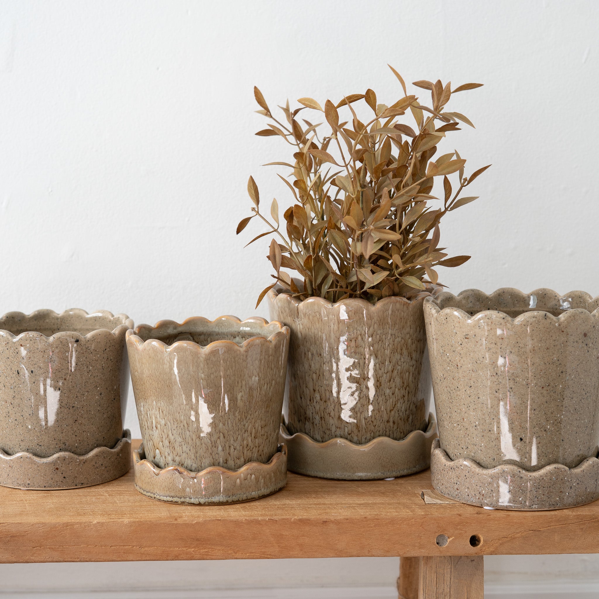 Scalloped Ceramic Planter