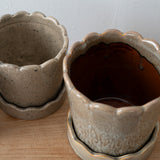 Scalloped Ceramic Planter