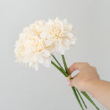 Forever Dahlia Flower Bouquet
