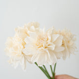 Forever Dahlia Flower Bouquet
