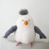 Chip Seagull