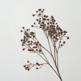 Stem Flowers