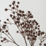 Stem Flowers