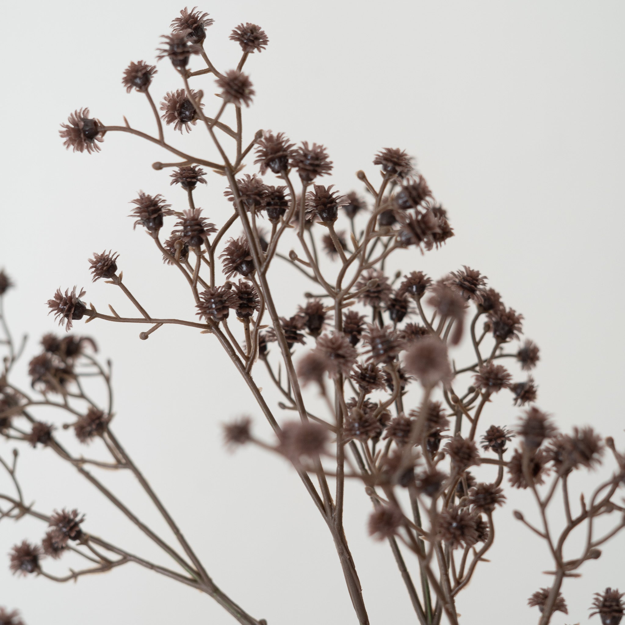 Stem Flowers