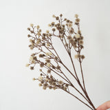 Stem Flowers